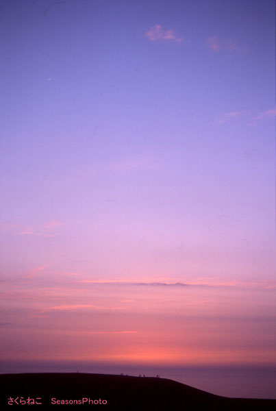 グラデーションに染まる夕暮れの空 さくらねこのphoto散歩